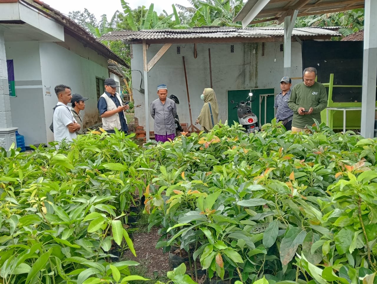 Desa Klungkung Mendapatkan Bantuan Bibit Tanaman, Siap Lakukan Penghijauan