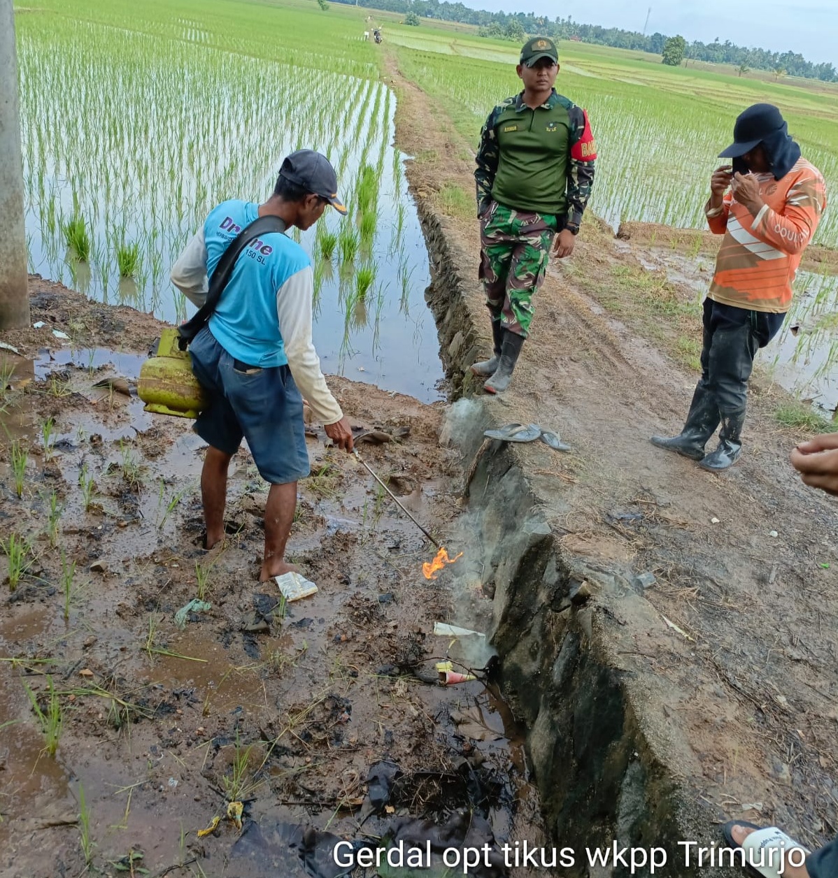 TNI BESERTA KETUA GAPOKTAN DAN PPL MENGGERAKAN WARGA TANI BERSAMA SAMA UNTUK ” GARDAL