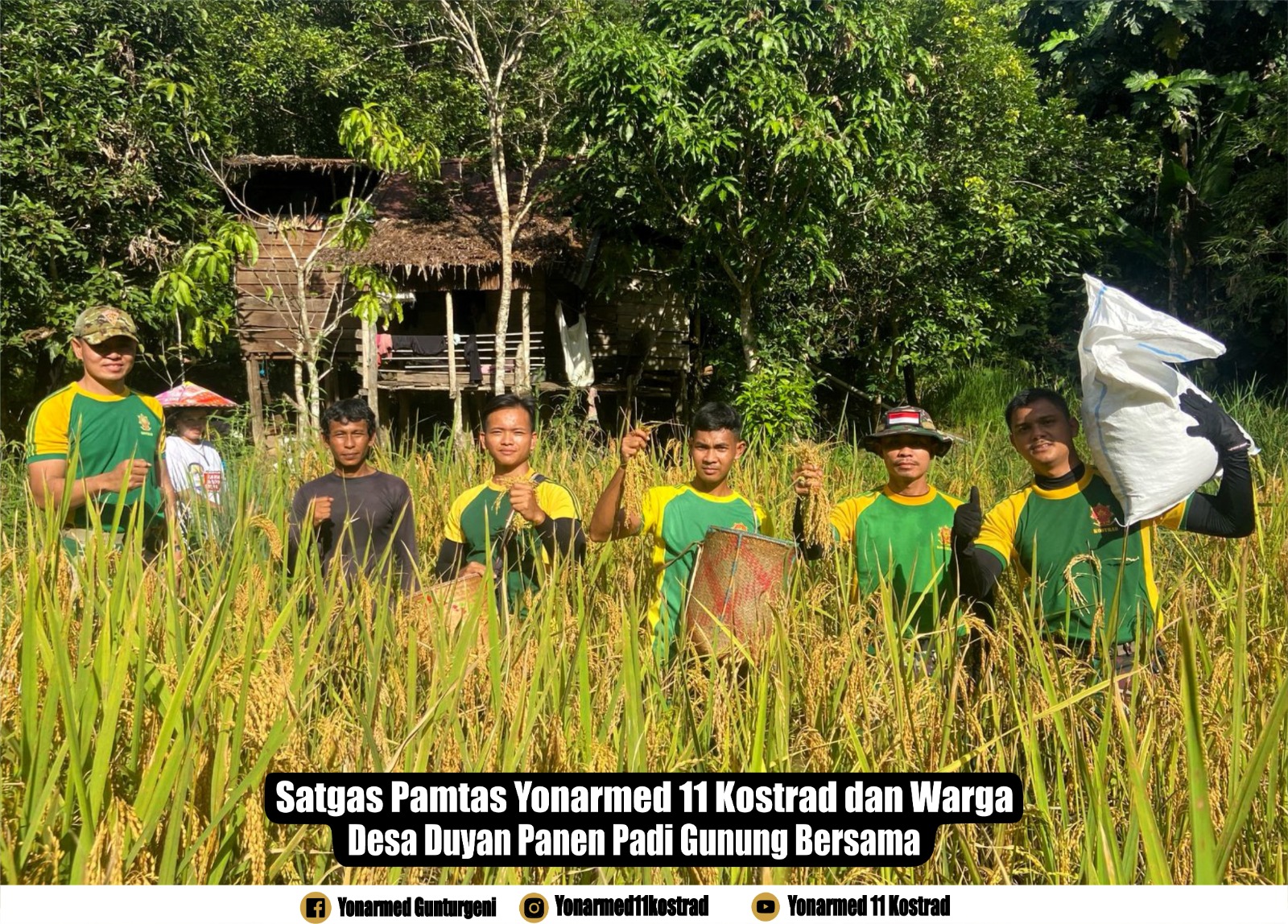 Satgas Pamtas Yonarmed 11 Kostrad dan Warga Desa Duyan Panen Padi Gunung Bersama